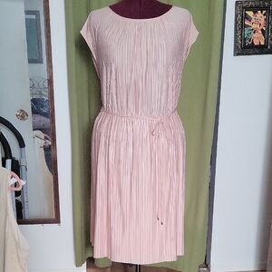 Penningtons Soft Pink Midi Dress